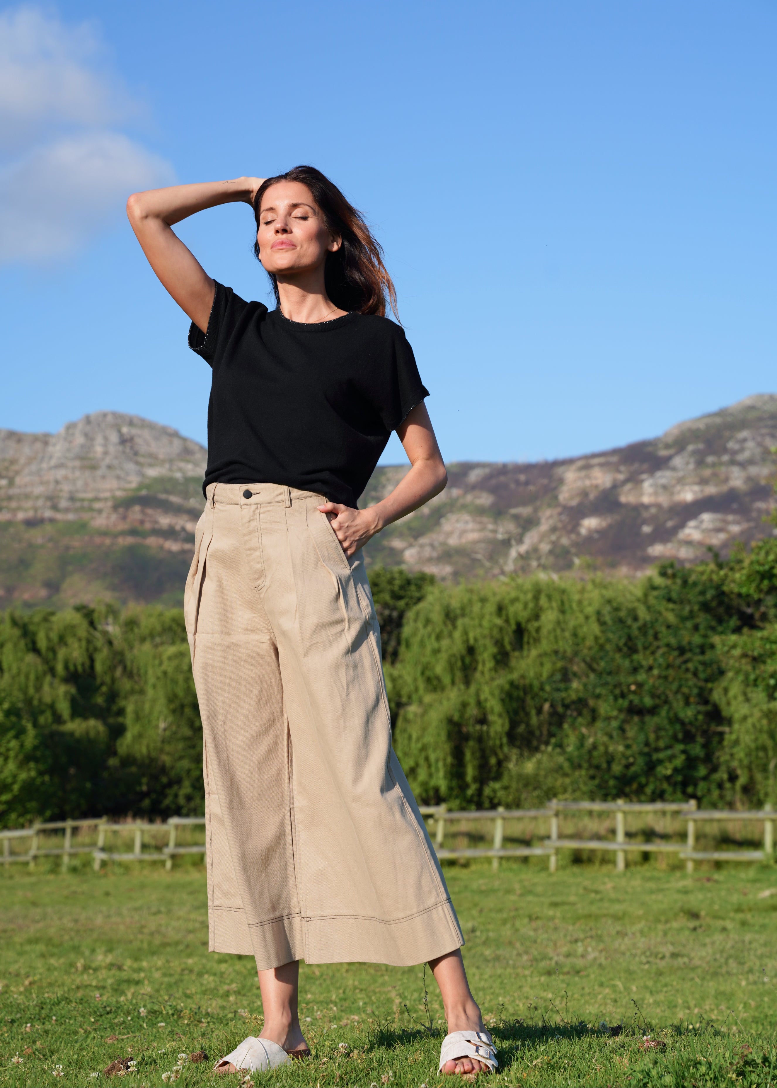 Charli Palazzo Trousers with front Pleats in Taupe