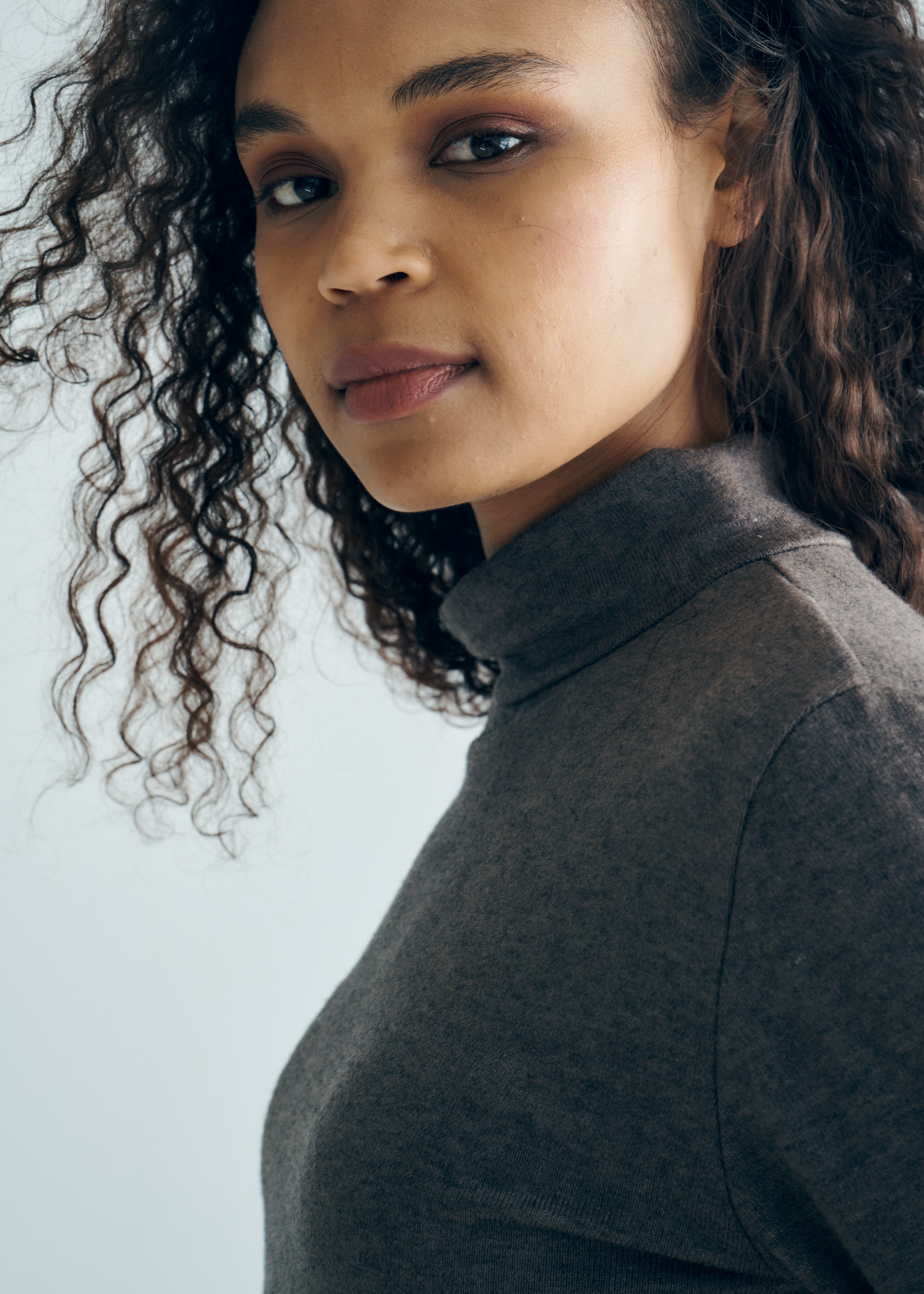 Italian Luxe Viscose Turtle Neck in Taupe