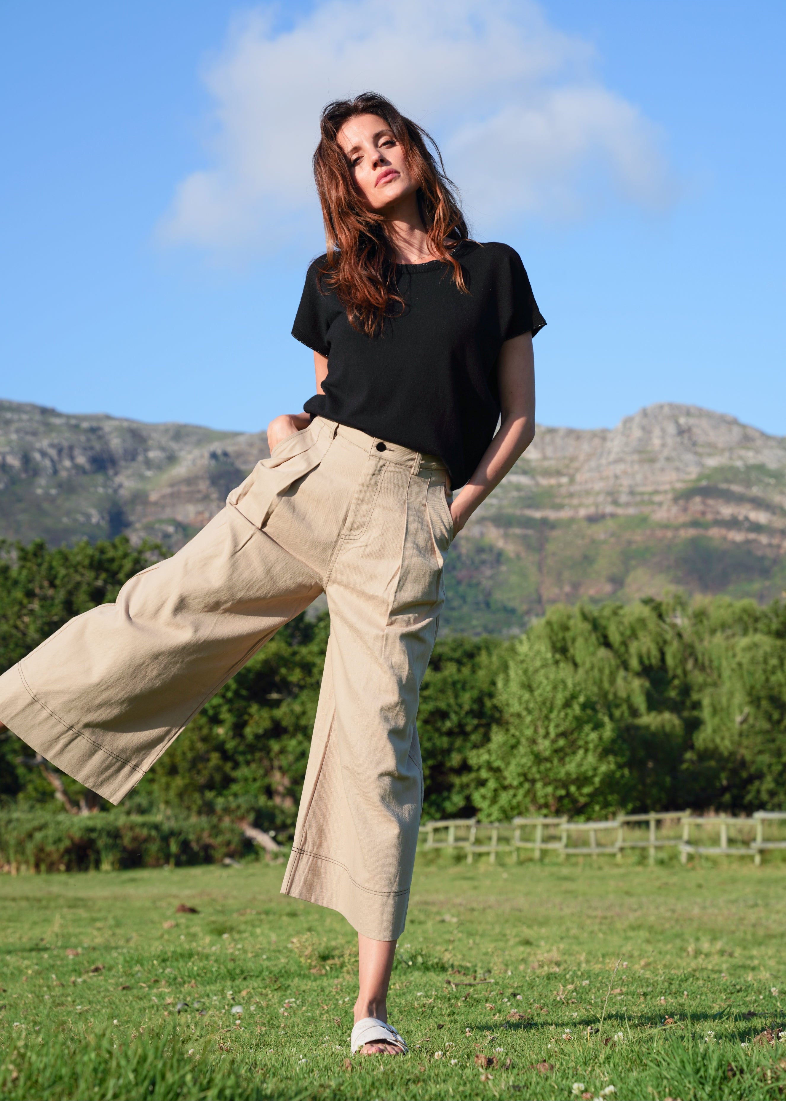 Charli Palazzo Trousers with front Pleats in Taupe