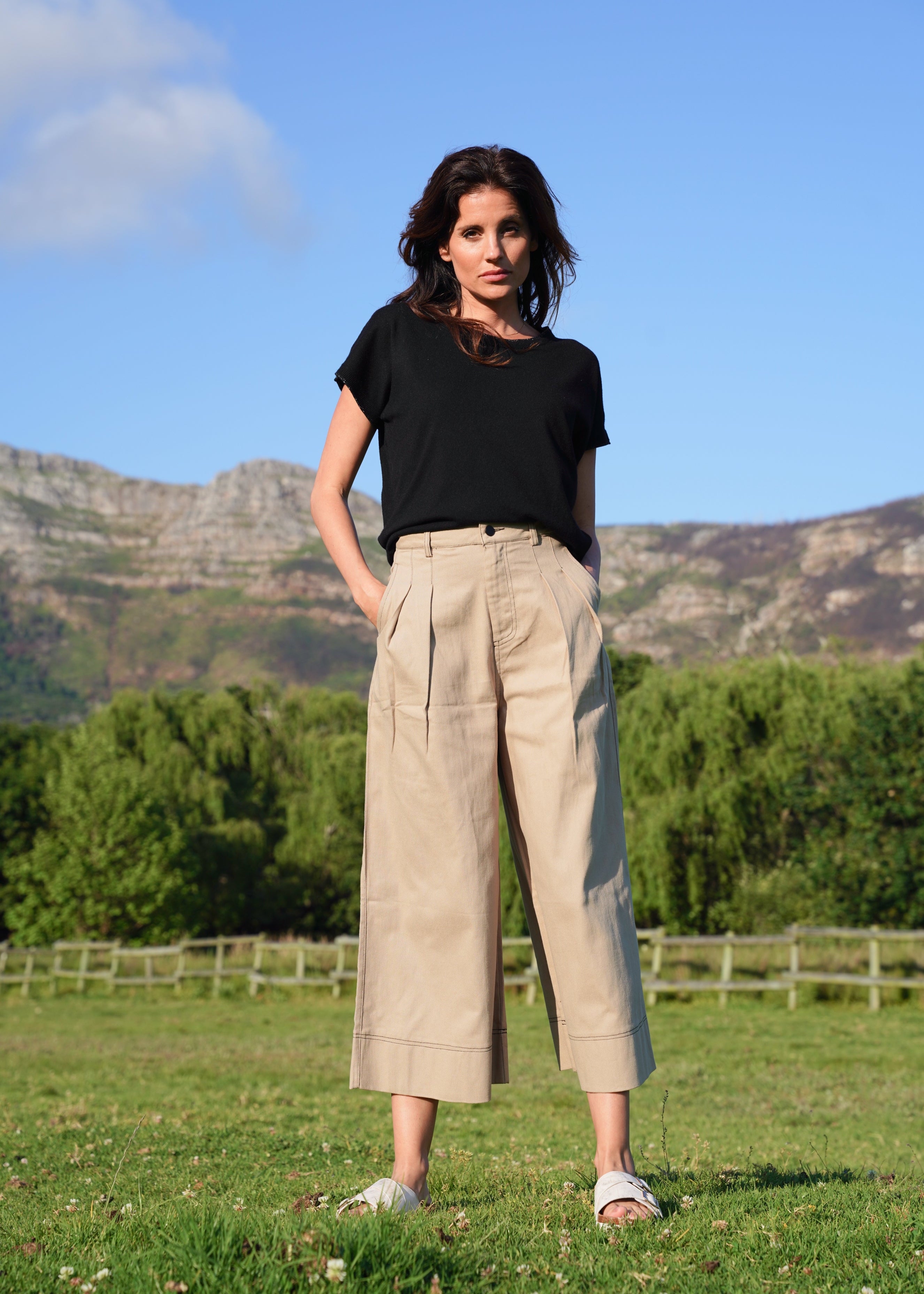 Charli Palazzo Trousers with front Pleats in Taupe
