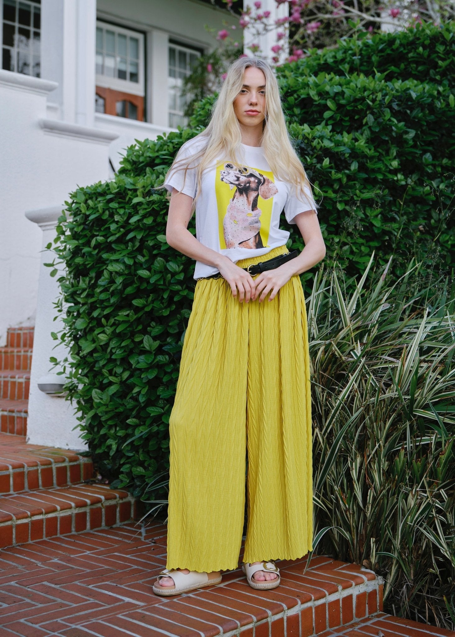 View our Bijou Embellished Dog Graphic Tee in White - by Tribute Store
