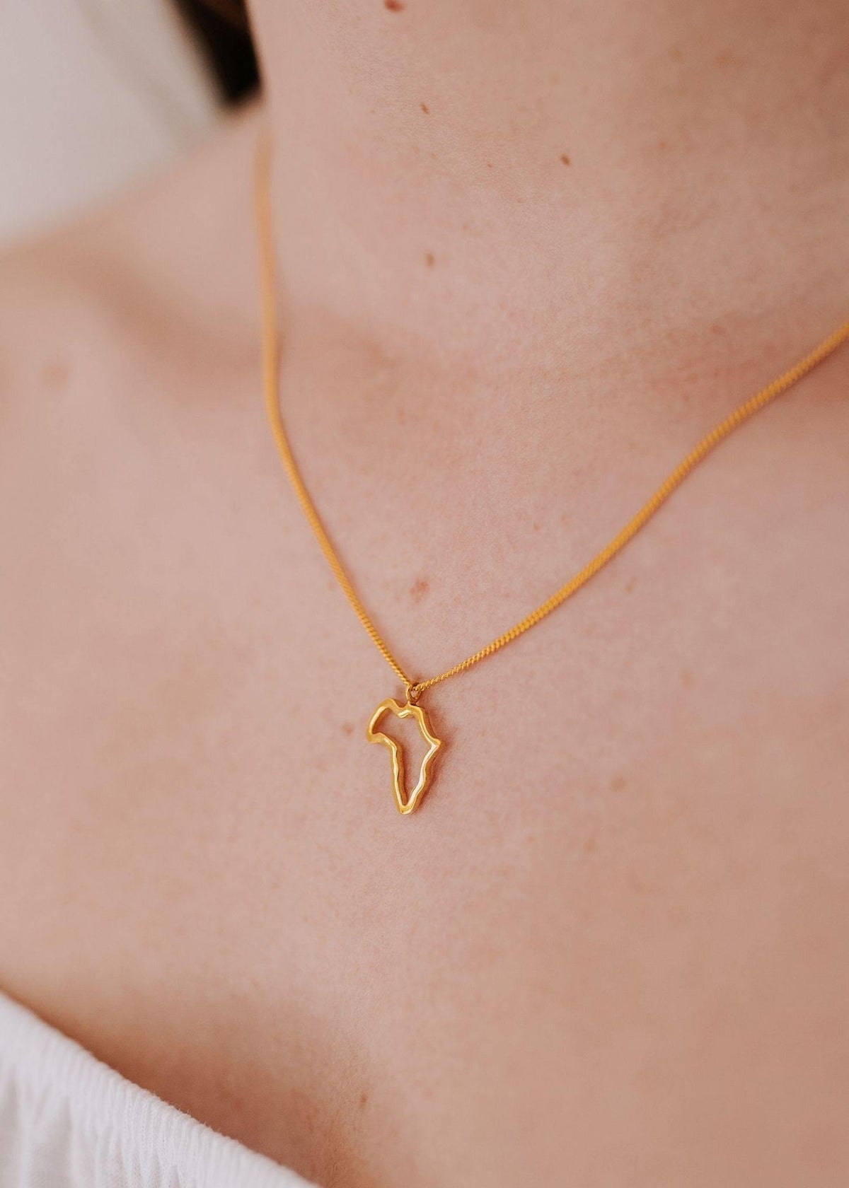 View our Gold Italian Waterproof Africa Outline Necklace - by Tribute Store